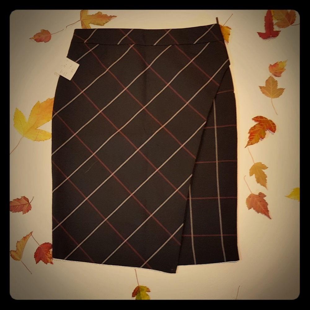 Paraphrase Skirt